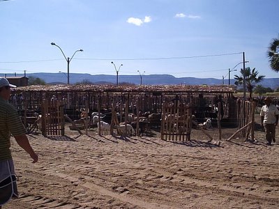 Área do Parque de Exposições